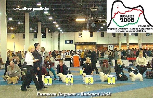 Gyula Sarkozy Judge European Dogshow - Budapest 2008