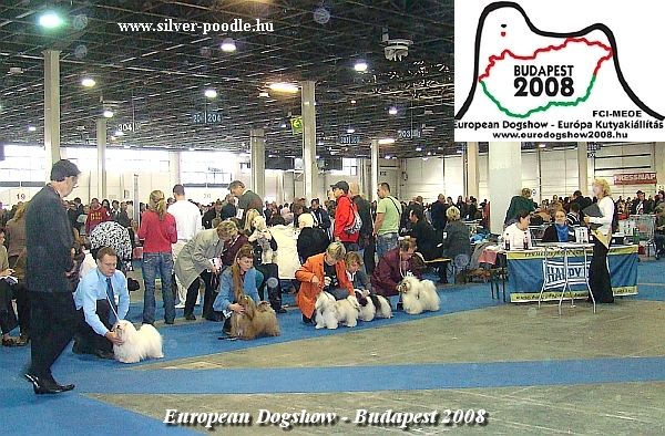 Srkzy Gyula Judge European Dogshow - Budapest 2008