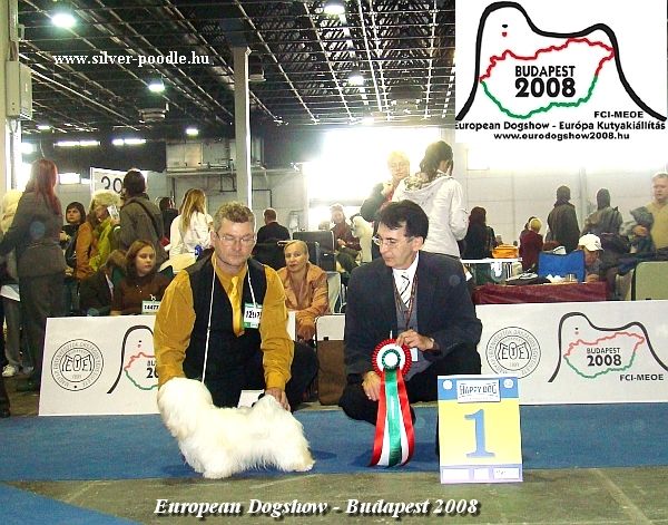 Gyula Sarkozy Judge European Dogshow
                  Hungary Budapest 2008