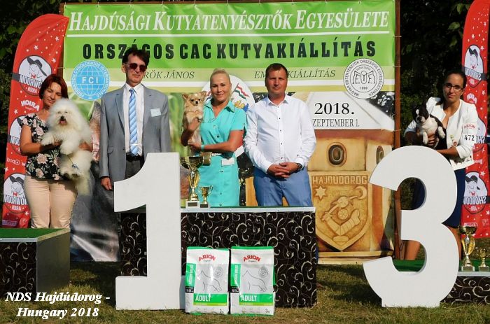 Judge Gyula Sarkozy Group 9 - Hajdudorog 2018 Hungary