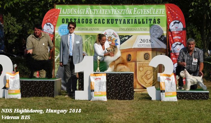 Judge Gyula Sarkozy - Hajdudorog 2018 Hungary