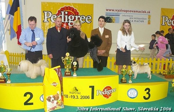 Nitra, Slovakia 2006, FCI Group IX, Judge Gyula Sarkozy