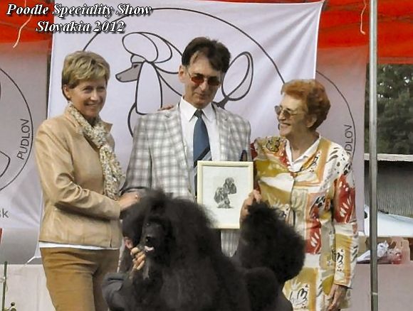 Poodle Speciality Show Slovakia 2012