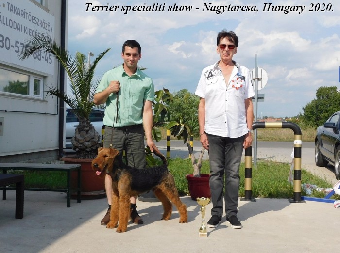 Judge Gyula Sarkozy - Terrier speciality show 2020