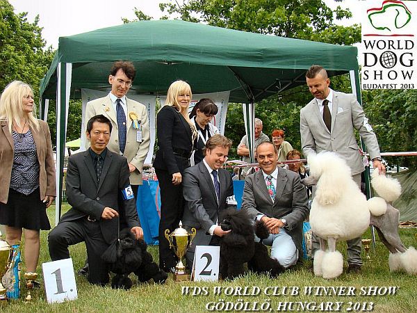 Gyula Sarkozy Judge WDS Poodle Club Show Gdll 2013