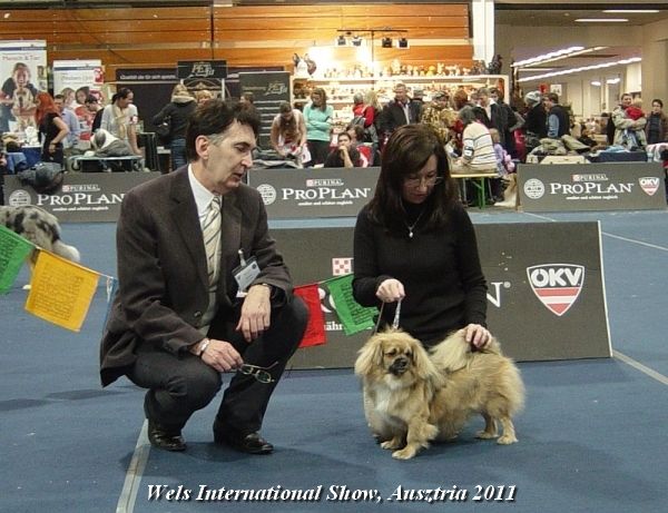 Wels International Show, Austria 2011 - Judge Gyula Sarkozy