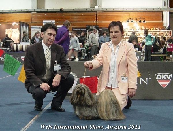 Wels International Show, Austria 2011 - Judge Gyula Sarkozy