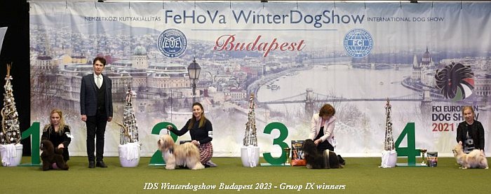 Judge Gyula Sarkozy - IDS FeHoVa Winterdogshow 2023